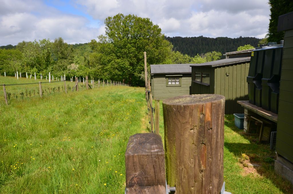 Lustleigh